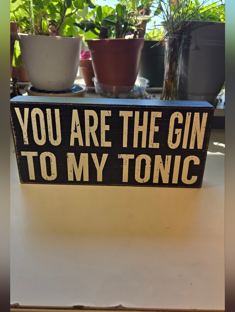 Quill To Paper You Are the Gin to My Tonic Box Sign